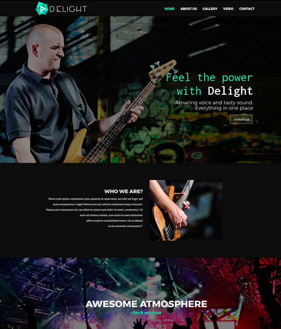 Bowwe professional template for musicians and artists